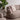 Melow 3-Seater Sofa, V1