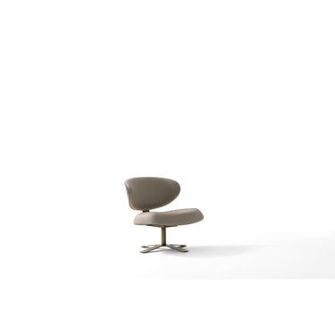 Leo Fauteuil (Leer)