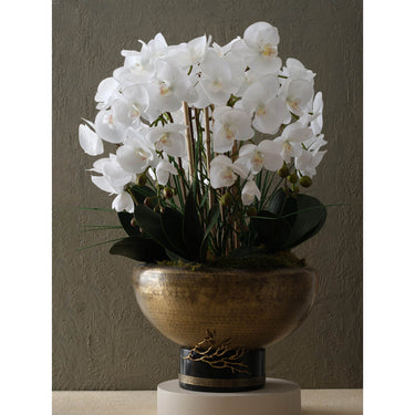 Vijver Bloempot