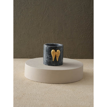 Vetplant Pot Met Engelvleugel Detail